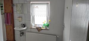 a bathroom with a sink and a window at Pension Pencik in Kurort Altenberg