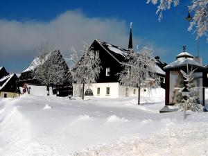 a house covered in snow with trees in the foreground at Pension Pencik in Kurort Altenberg