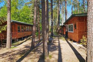 a log cabin in the woods with a path between trees at Siedlisko Bartek domki na Kaszubach nad jeziorem Mausz in Sulęczyno