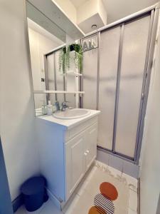 a bathroom with a sink and a mirror at T2 calme rue Pasteur appartement 1 - DABNB in Le Palais-sur-Vienne