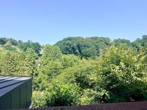 a view from the roof of a house with trees at T2 calme rue Pasteur appartement 1 - DABNB in Le Palais-sur-Vienne