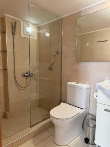 a bathroom with a toilet and a glass shower at Zachos studio in Heraklio +23 photos