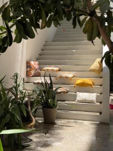 a white stair case with plants in front of it at Zachos studio in Heraklio