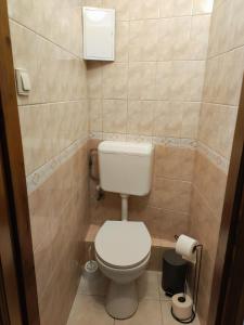 a small bathroom with a toilet in a room at Campana Apartment - Szigetvár in Szigetvár
