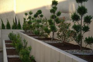 a row of trees in a garden next to a wall at Hotel Adler Äpfingen in Äpfingen