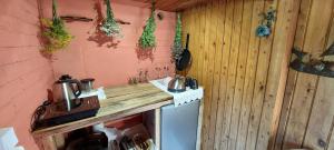 a small kitchen with a counter and a stove at Little Red Sauna by the Sea in Leesi +7 photos
