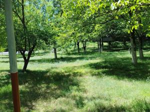 a field of grass with trees and a bench at Gurbanefendi forest cottages in Qurbanǝfǝndi +3 photos
