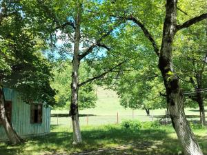 an old house in the middle of trees at Gurbanefendi forest cottages in Qurbanǝfǝndi
