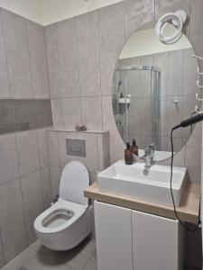 a bathroom with a toilet and a sink and a mirror at Tom House in Otopenii de Jos
