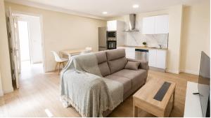 a living room with a couch and a kitchen at Residencial Junceda in Viveiro +15 photos