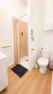 a bathroom with a toilet and a shower at Escapade Provencale in Lectoure