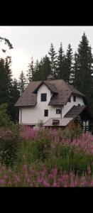 a white house with a black roof in a field of flowers at Villa Pahuljica in Jahorina