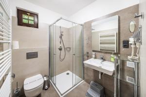 a bathroom with a shower and a toilet and a sink at Chalupy Na Rališce in Horní Bečva +57 photos