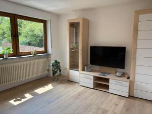 a living room with a flat screen tv and a window at Ferienwohnung Arend in Nonnweiler