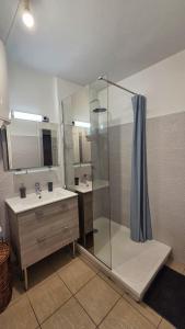 a bathroom with a shower and a sink at L'Arymarius 12 in Saint-Pierre +27 photos