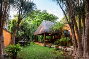 Afbeelding uit fotogalerij van Hotel Lunata - 5th Avenue in Playa del Carmen