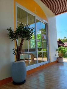a large planter with a tree in a room with a window at โรงแรม JP Lucky Lux Hotel in Ban Nong Samran +15 photos