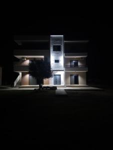 a building at night with a tree in front of it at Caci Apartments in Gornji Štoj