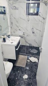 a bathroom with a sink and a toilet and a shower at Apart Central in Orşova