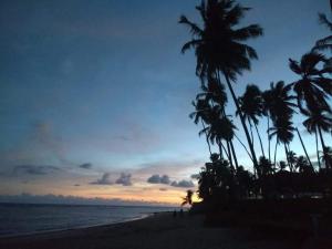 a group of palm trees on a beach at sunset at Hostel Kay Pacha e Camping in Maceió