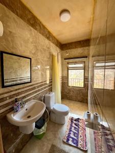 a bathroom with a sink and a toilet at Wild Dana Eco Lodge- Hotel-Eco-Camp in Dana