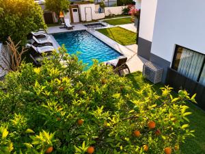 a swimming pool in a yard with an orange tree at Side Mira Palace & Spa in Side