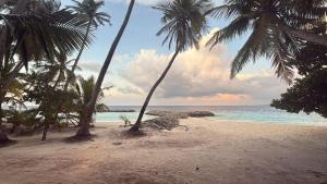 a group of palm trees on a beach with the ocean at The Blue Cave Maldives in Kendhoo