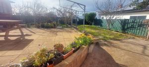 a garden with potted plants on a patio at Mary's Place in Devonport +10 photos