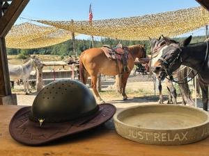 a hat sitting on a table next to a horse at Ranch du Haut-Languedoc in La Salvetat