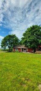 a red house in a green field with a tree at Little Red Sauna by the Sea in Leesi