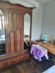 a bedroom with a wooden dresser with a purple rug at The bungalow in Waterford Manor Station