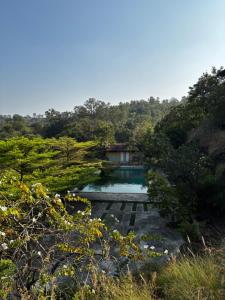 a swimming pool in the middle of a forest at The Yellow Retreat in Wai