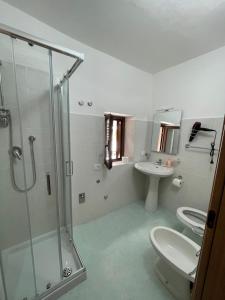 een badkamer met een douche, een toilet en een wastafel bij Dimora AVE in Aieta