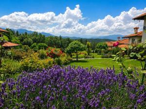 a field of purple flowers in a garden at Вила Магнолия in Lakarevo