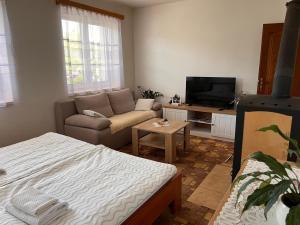 a living room with a couch and a tv at Linden House in Sklené