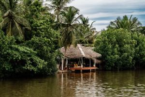 a small hut on a river with palm trees at Ginger Harmony Tangalle Lagoon View in Tangalle