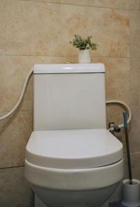 a white toilet with a plant on top of it at Lunora Homes in Arusha +14 photos