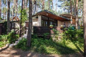 a house in the woods with trees at Domek letniskowy "Wiewiórka" - Oaza Spokoju in Ocypel
