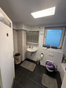 a bathroom with a sink and a toilet and a window at Sam Apartments LU/Oppau in Ludwigshafen am Rhein