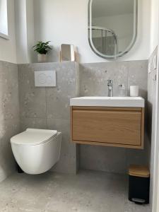 a bathroom with a sink and a toilet and a mirror at Ivanka Apartments in Ivanka pri Dunaji