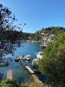 a group of boats docked at a dock on a lake at Appartment Plaza in Krnica