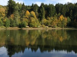 a view of a lake with trees in the background at Ferienwohnung Am Stadttor in Tann