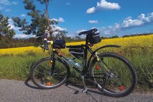 a bike parked on the side of a road next to a field at Rospuda B in Supienie