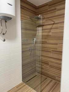 a shower in a bathroom with a glass door at NOVA Olimpia Residence - Free Garage in Sarajevo