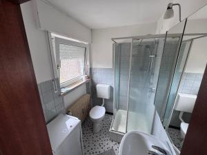 a bathroom with a toilet and a sink and a shower at Monteur 3P in Fürstenau