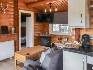 a kitchen and living room in a log cabin at Barken in Trawsfynydd