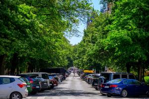 a row of cars parked on a street with trees at Golden Prague Rooms in Prague