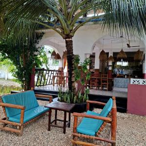 a couple of chairs and a table and a palm tree at Darwesh Nyumba Lodge in Nungwi