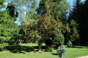 A garden outside Sebesvi­z Panzió
