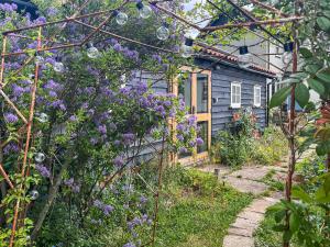 a garden with purple flowers in front of a house at Munns Farm Barn in Earls Colne